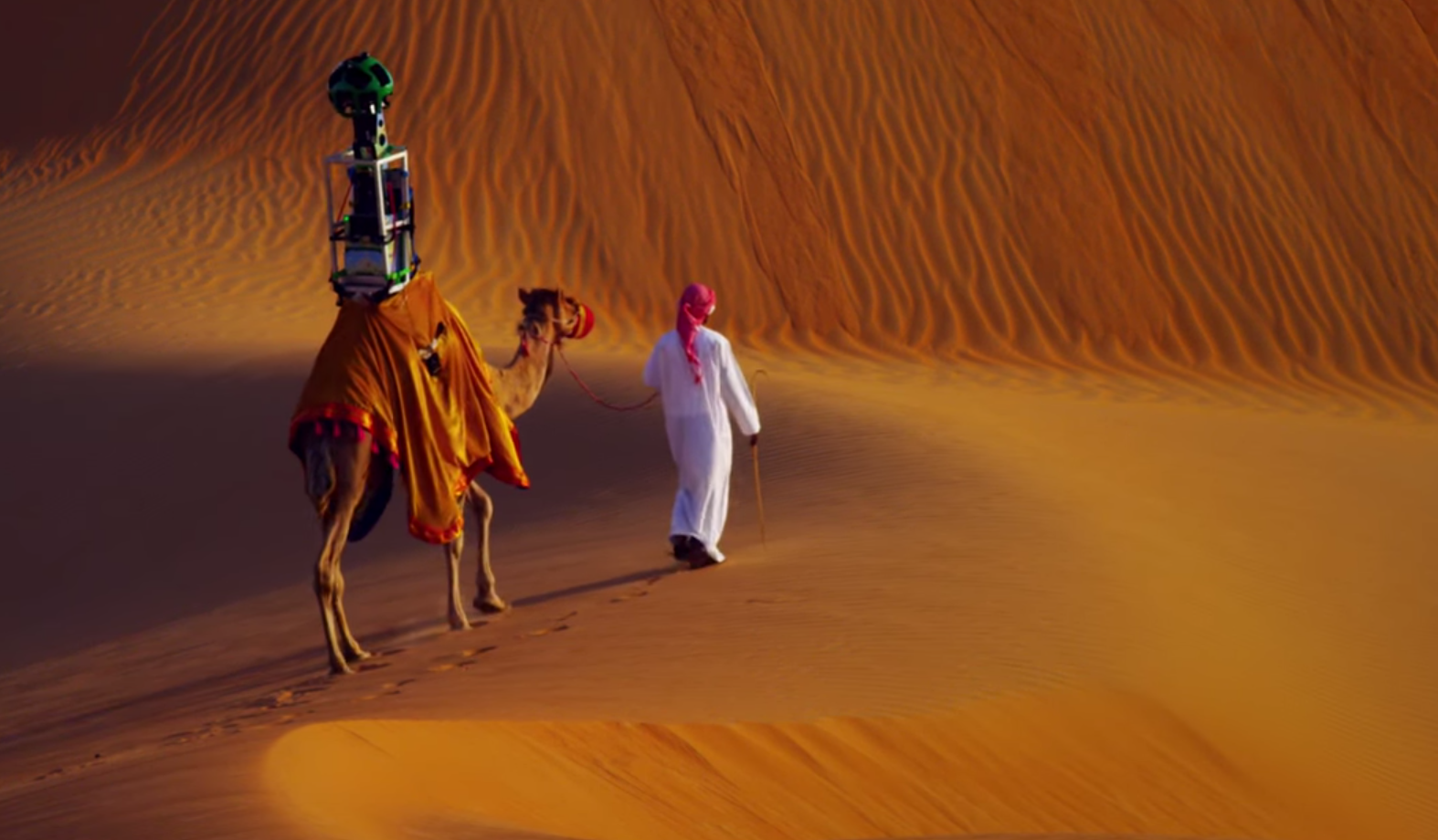 Meet Raffi! The Camel With A View!